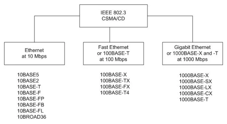 ผังต้นไม้: กล่องบนสุดคือ IEEE 802.3 CSMA/CD แตกลงมาเป็นสามกิ่ง — Ethernet at 10 Mbps (10BASE5, 10BASE2, 10BASE-T, 10BASE-F, 10BASE-FP, 10BASE-FB, 10BASE-FL, 10BROAD36), Fast Ethernet หรือ 100BASE-T at 100 Mbps (100BASE-X, 100BASE-TX, 100BASE-FX, 100BASE-T4) และ Gigabit Ethernet หรือ 1000BASE-X และ -T at 1000 Mbps (1000BASE-X, 1000BASE-SX, 1000BASE-LX, 1000BASE-CX, 1000BASE-T)