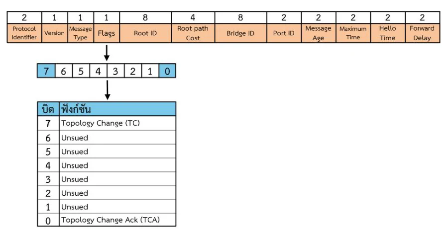 แถบฟิลด์ของ Configuration BPDU เรียงสิบสองช่องพร้อมตัวเลขขนาดกำกับด้านบน: Protocol Identifier 2, Version 1, Message Type 1, Flags 1, Root ID 8, Root path Cost 4, Bridge ID 8, Port ID 2, Message Age 2, Maximum Time 2, Hello Time 2 และ Forward Delay 2 · ลูกศรชี้ลงจากช่อง Flags ไปยังแถวบิตที่เรียงจาก 7 ลงมาถึง 0 โดยบิต 7 และบิต 0 ถูกไฮไลต์ · ลูกศรชี้ลงต่อไปยังตารางสองคอลัมน์ บิตกับฟังก์ชัน ระบุว่าบิต 7 คือ Topology Change (TC) บิต 6 ถึง 1 คือ Unused และบิต 0 คือ Topology Change Ack (TCA)