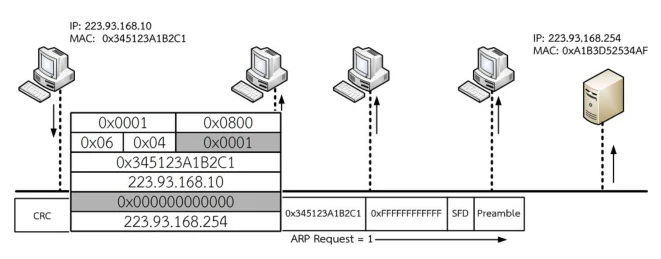 บรอดคาสท์ของ ARP query — เฟรมและค่าในแต่ละฟิลด์