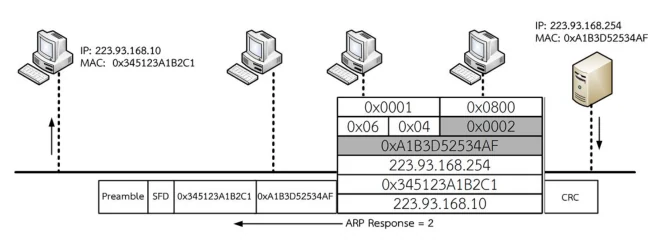 ยูนิคาสต์ของ ARP Response
