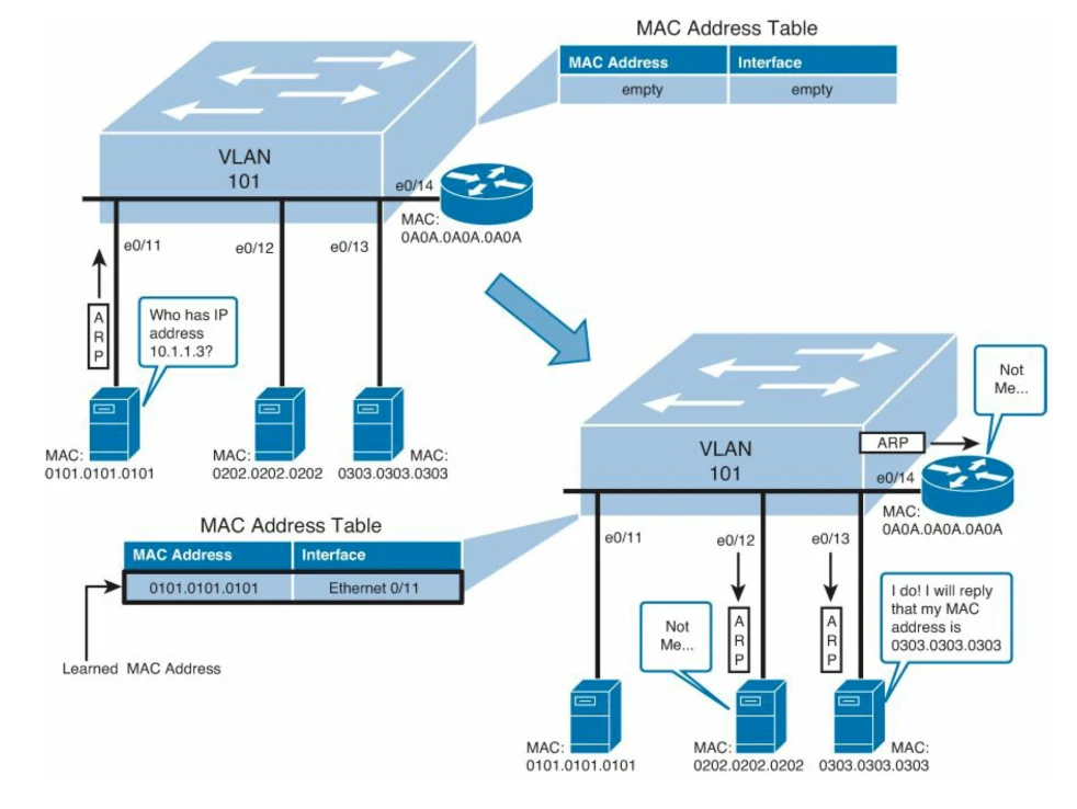 สวิตช์ VLAN 101 สองภาพต่อเนื่องกัน: ภาพแรก MAC Address Table ว่าง เครื่องที่พอร์ต e0/11 ส่งเฟรม ARP ถามว่า Who has IP address 10.1.1.3 ภาพที่สองสวิตช์จดค่า 0101.0101.0101 คู่กับ Ethernet 0/11 แล้ว flood เฟรม ARP ออกพอร์ต e0/12 e0/13 และ e0/14 โดยเครื่อง 0202 กับเร้าเตอร์ตอบว่า Not Me ส่วนเครื่อง 0303 ตอบว่า I do