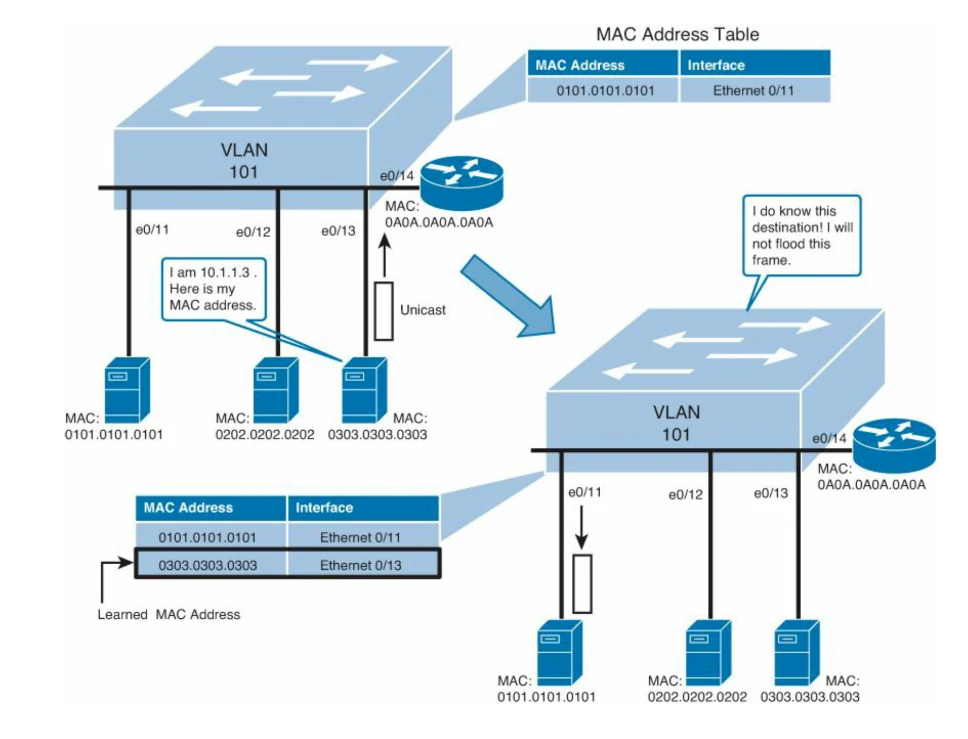 สวิตช์ VLAN 101 สองภาพต่อเนื่อง: ภาพแรกเครื่องที่พอร์ต e0/13 ส่งเฟรมยูนิคาสต์ตอบว่า I am 10.1.1.3 Here is my MAC address และ MAC Address Table เพิ่มแถว 0303.0303.0303 คู่กับ Ethernet 0/13 ภาพที่สองสวิตช์บอกว่า I do know this destination I will not flood this frame แล้วส่งเฟรมออกเฉพาะพอร์ต e0/11