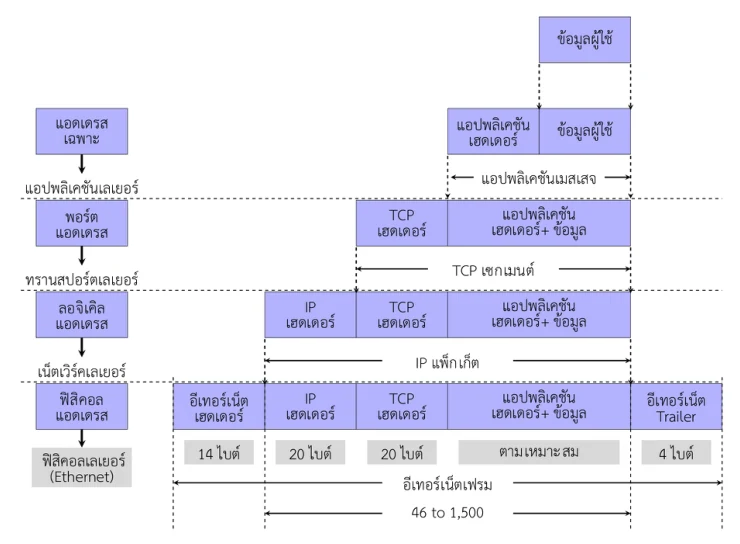 การใช้งานแอดเดรสในแต่ละเลเยอร์บนโมเดล TCP/IP
