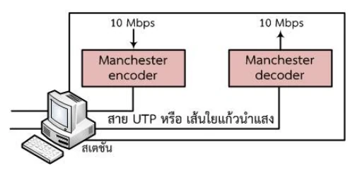 ไดอะแกรมบล็อกของสเตชันอีเทอร์เน็ต 10 Mbps ข้อมูล 10 Mbps จากเครื่องเข้า Manchester encoder ออกไปบนสาย UTP หรือเส้นใยแก้วนำแสง อีกทางหนึ่งสัญญาณจากสายเข้า Manchester decoder แล้วกลับออกมาเป็น 10 Mbps เข้าเครื่อง