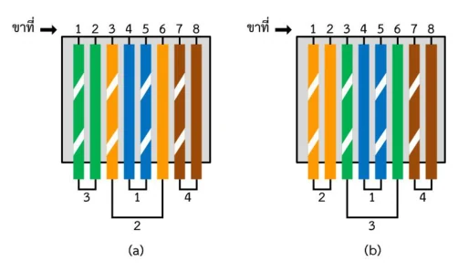 ภาพหัว RJ45 สองหัววางเทียบกัน แต่ละหัวมีสายแปดเส้นเรียงจากขาที่ 1 ถึง 8 หัว (a) เรียงเขียว-ขาว เขียว ส้ม-ขาว น้ำเงิน น้ำเงิน-ขาว ส้ม น้ำตาล-ขาว น้ำตาล หัว (b) เรียงส้ม-ขาว ส้ม เขียว-ขาว น้ำเงิน น้ำเงิน-ขาว เขียว น้ำตาล-ขาว น้ำตาล ใต้สายมีวงเล็บโยงจับคู่สายพร้อมเลขคู่กำกับ