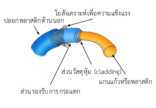 ภาพสายใยแก้วนำแสงโค้งงอถูกปอกเป็นชั้น ๆ ชั้นนอกสุดเป็นปลอกพลาสติกสีน้ำเงินกำกับว่าปลอกพลาสติกด้านนอก ถัดเข้ามาเป็นตาข่ายถักกำกับว่าใยสังเคราะห์เพื่อความแข็งแรง ถัดมาเป็นส่วนรองรับการกระแทก แล้วเป็นส่วนวัสดุหุ้ม (cladding) และแกนในสุดสีส้มกำกับว่าแกนแก้วหรือพลาสติก