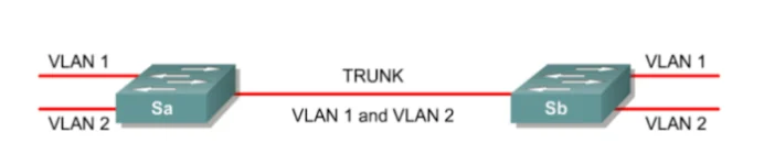 สวิตช์ Sa และ Sb เชื่อมกันด้วยสายเส้นเดียวที่เขียนว่า TRUNK VLAN 1 and VLAN 2 โดยแต่ละฝั่งมีเส้นแยกออกไปเป็น VLAN 1 และ VLAN 2